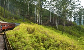 Riding by train in Sri Lanka